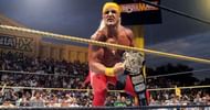 Hulk Hogan holding the title at Wrestlemania 9